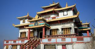 pexels-julia-volk-6576294